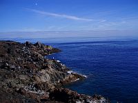 Diving Tenerife